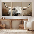 White Longhorn Bull Wall Art Canvas Print – Framed and Ready