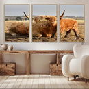 Highland Cow Canvas Wall Art Animal Print for Farm House