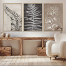 Minimalist Botanical Wall Art Canvas Print, Framed and Ready