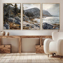 Serene Coastal View of Acadia National Park - Stunning