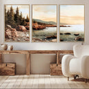 Serene Coastal View of Acadia National Park Wall Art -