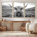 Black White Scottish Highland Cow Canvas Farm Wall Art