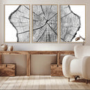 Rustic Tree Ring Wall Art Canvas Print – Framed and Ready to