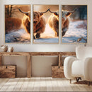 Scottish Highland Cow Horn Farm Wall Art Canvas Print