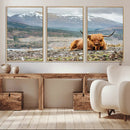 Highland Cow Horn Farm Wall Art Canvas Print