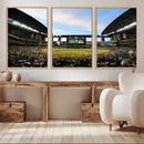 Arizona Diamondbacks Team Print - Phoenix Chase Field