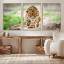 Leopard on the Prowl - Stunning Large Framed Leopard Wall