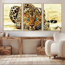 Blue-Eyed Leopard Canvas Wall Art - Framed Animal Print