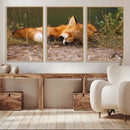 Sleeping Fox Wall Art Canvas Print, Farmhouse Wall Decor and