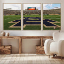 Football Stadium Wall Art – Framed Sports Field Canvas by MyGreatCanvas | Canvas Wall Art Prints | Photo Prints & Wall Decor