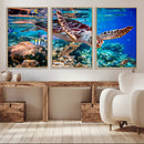 Underwater Coral Reef Sea Turtle Wall Art Canvas Print,