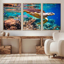 Sea Turtle Wall Art Canvas Print – Vibrant Ocean Coral Reef