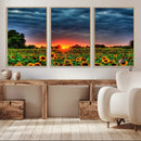 Golden Sunflower Field at Sunset – Breathtaking Sky and