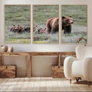 Wildlife Photography of 399 Grizzly Bear Cubs | Queen of the