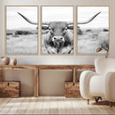 Highland Cow Wall Art Canvas Print – Black and White Western