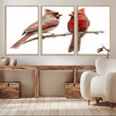 Cardinal Canvas Wall Art - Male and Female Cardinal Print -