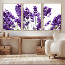 Lavender Flower Wall Art Canvas Print by MyGreatCanvas | Canvas Wall Art Prints | Photo Prints & Wall Decor