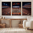 Texas Stadium Night Game Wall Art Canvas Print – Vibrant