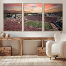 Indiana Memorial Stadium Wall Art Canvas Print, Framed