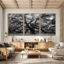 Black and White Old Angel Oak Tree Wall Art Canvas Print