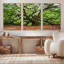 Majestic Oak Tree Wall Art Canvas Print – Ancient Branches by MyGreatCanvas | Canvas Wall Art Prints | Photo Prints & Wall Decor