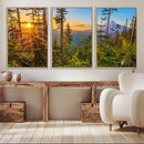 Forest Sunset Wall Art Canvas Print, Glowing Evening Light by MyGreatCanvas | Canvas Wall Art Prints | Photo Prints & Wall Decor