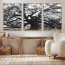 Ancient Oak Wall Art Canvas Print, Majestic Twisted Branches by MyGreatCanvas | Canvas Wall Art Prints | Photo Prints & Wall Decor