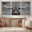 Texas Longhorn Wall Art Canvas Print – Framed Western Bull