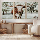 Texas Longhorn Wall Art Canvas Print – Framed Spotted Bull