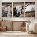 Texas Longhorn Wall Art Canvas Print – Framed Spotted Bull