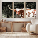 Texas Longhorn Wall Art Canvas Print – Framed Spotted Bull