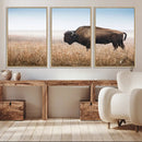 Wild Bison Wall Art – Framed Prairie Landscape Canvas by MyGreatCanvas | Canvas Wall Art Prints | Photo Prints & Wall Decor