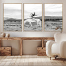 White Horse Wall Art Canvas Print – Framed Woman Rider