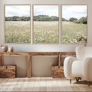 Charming Daisy Field Wall Art Canvas Print – Framed Pastel