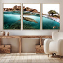 Sea Turtle Wall Art Canvas Print – Framed Ocean Life