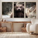 Brown Bear Wall Art Canvas Print – Framed Majestic Woodland