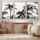 Palm Wall Art Canvas Print – Framed Monochrome Tropical