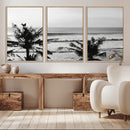 Tropical Coastline Wall Art Canvas Print – Framed Palm Trees by MyGreatCanvas | Canvas Wall Art Prints | Photo Prints & Wall Decor