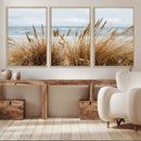 Beach Grass Wall Art – Framed Coastal Dunes Canvas Artwork, by MyGreatCanvas | Canvas Wall Art Prints | Photo Prints & Wall Decor