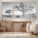 Joshua Trees Wall Art Canvas Print – Framed Black White