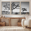 Joshua Tree Wall Art Canvas Print – Framed Monochrome Desert
