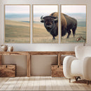 Bison Wall Art Canvas Print – Framed Buffalo American Bison
