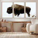 Bison Wall Art Canvas Print – Framed Western Wildlife
