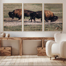 Bison Wall Art Canvas Print – Framed Western Wildlife Modern by MyGreatCanvas | Canvas Wall Art Prints | Photo Prints & Wall Decor