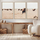Bison Herd Wall Art Canvas Print – Framed Western Prairie