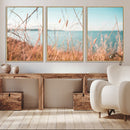 Coastal Grass Landscape Wall Art Canvas Print – Golden