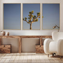 Joshua Tree Wall Art Canvas Print – Framed Southwestern