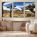 Joshua Tree Desert Wall Art Canvas Print – Framed