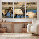 Wild Elk Wall Art Canvas Print – Framed Neutral Wildlife