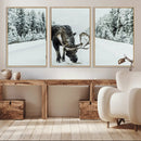 Moose Snow Wall Art Canvas Print – Framed Winter Wildlife by MyGreatCanvas | Canvas Wall Art Prints | Photo Prints & Wall Decor